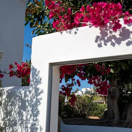Ibizazen-2